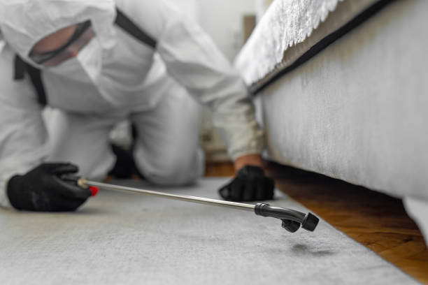 Professional Termite Control technician working in Oshkosh, WI