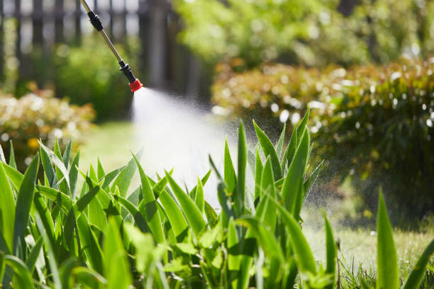 24/7 Emergency Termite Control experts in Oshkosh, WI