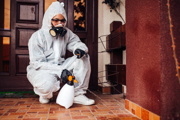 Reliable Termite Control contractor in Oshkosh, WI by Nex Pest Control