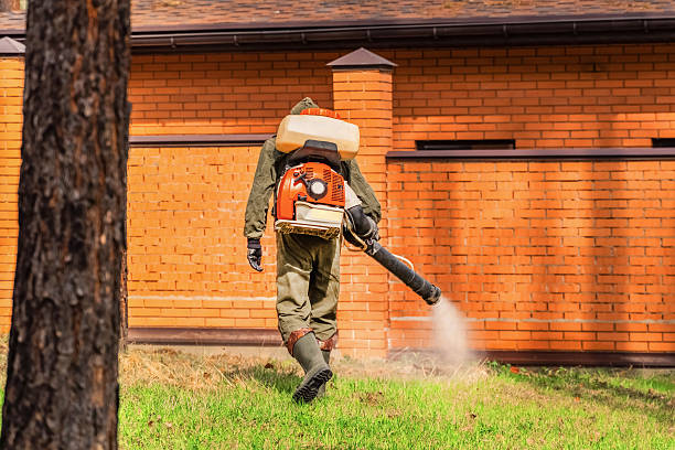 Trusted Cockroach Control service in Oshkosh, WI - Nex Pest Control